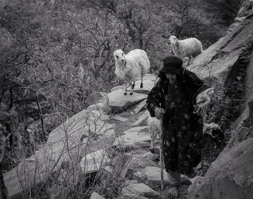 Taiz, Yemen - travel photo