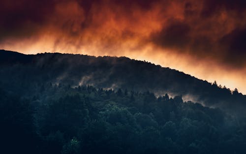 ağaçlar, altın saat, dağ içeren Ücretsiz stok fotoğraf