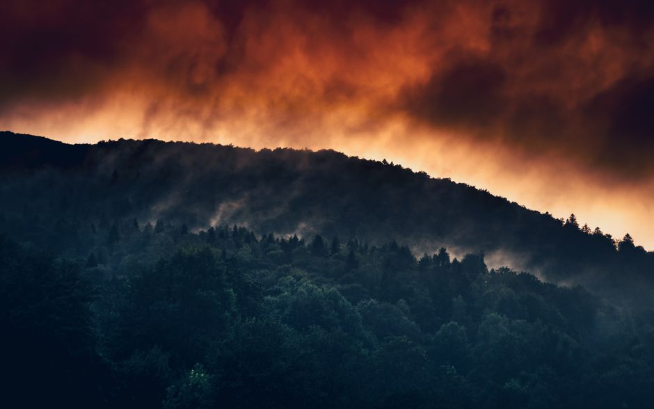 España lidera la cumbre europea sobre desertificación mientras incendios récord arrasan el Mediterráneo