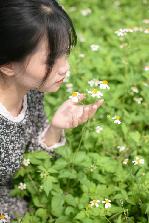 Free A young woman lovingly smells chamomile flowers in a lush green meadow, capturing nature's serenity. Stock Photo