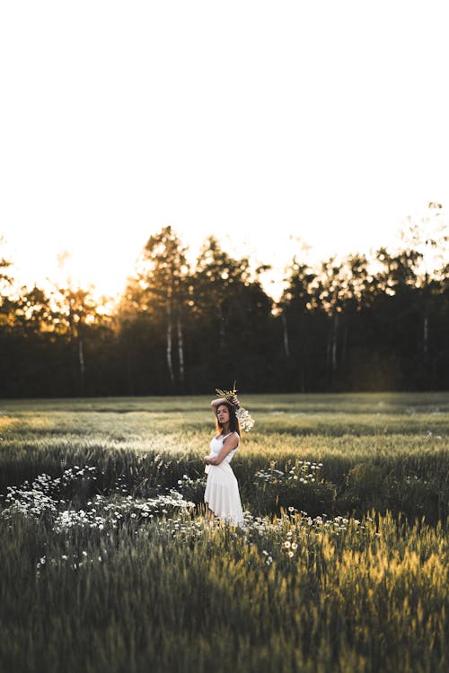 Free stock photo of beautiful woman, flowers, grass field