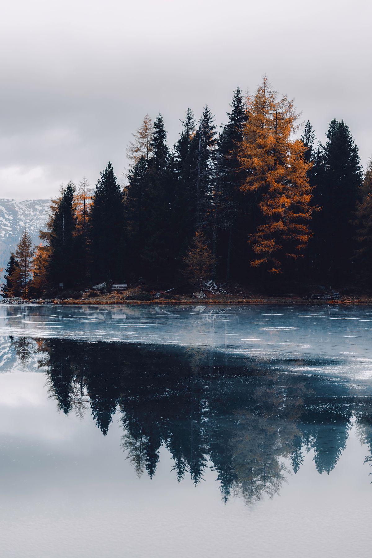Pine trees perfectly reflected in a calm Swedish lake at midsommar — the still water that follows a day of dancing