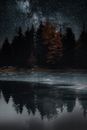 Trees Reflection over a Frosty River