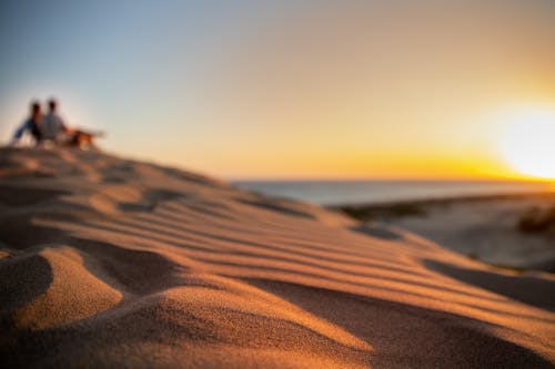 Brown Sand