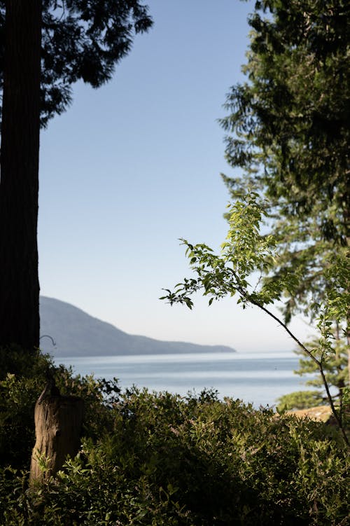 Scenic Landscape of the Lake 