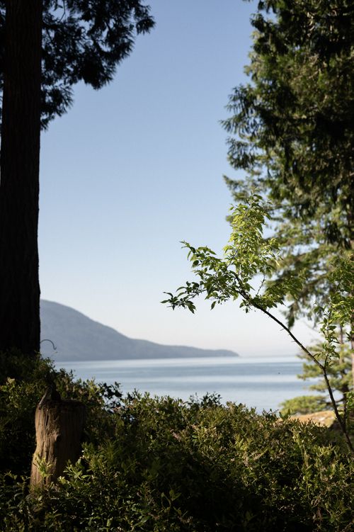 Free Tranquil lakeside landscape with lush greenery and clear blue sky. Stock Photo