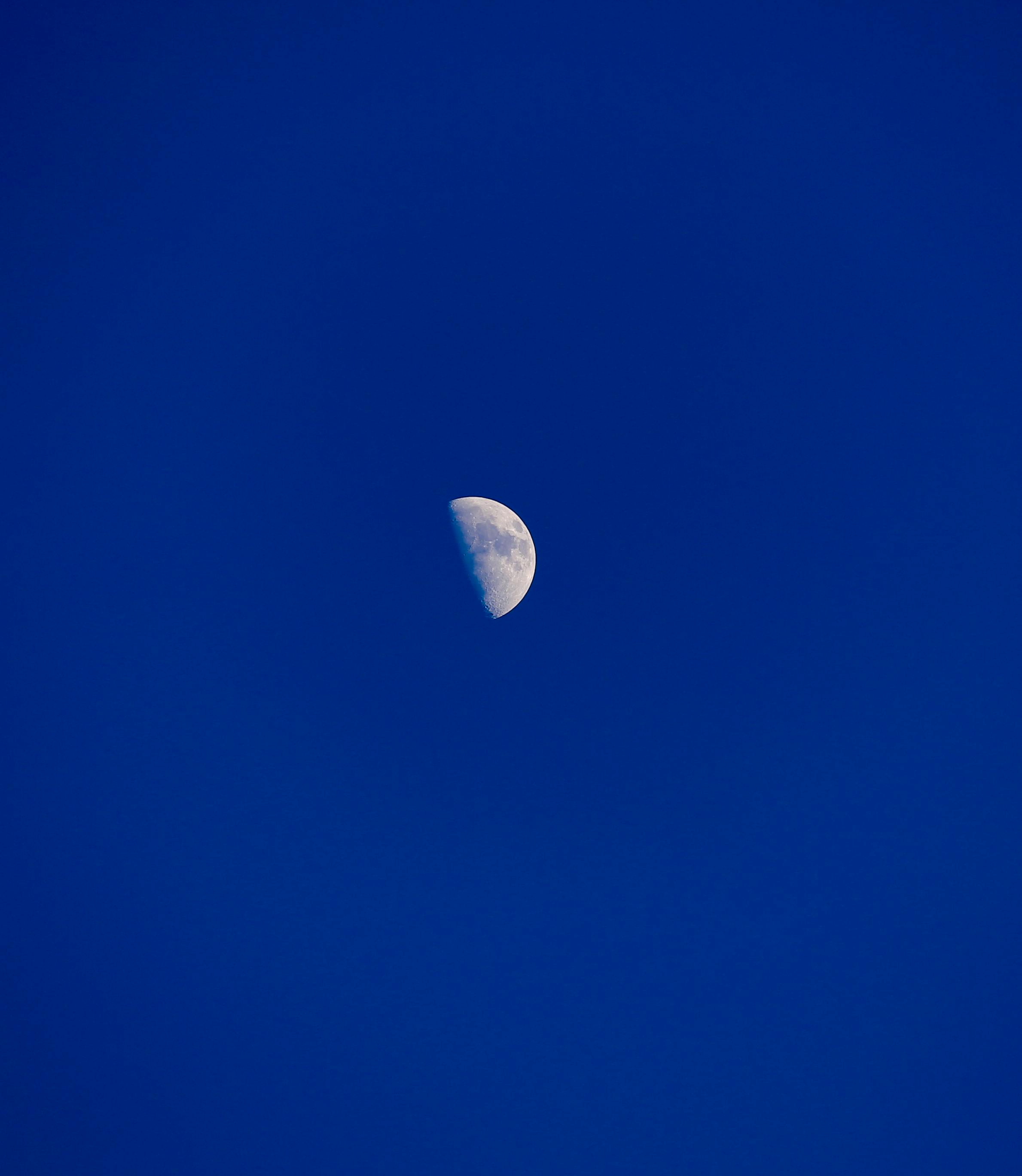 Free stock photo of half moon, half-moon