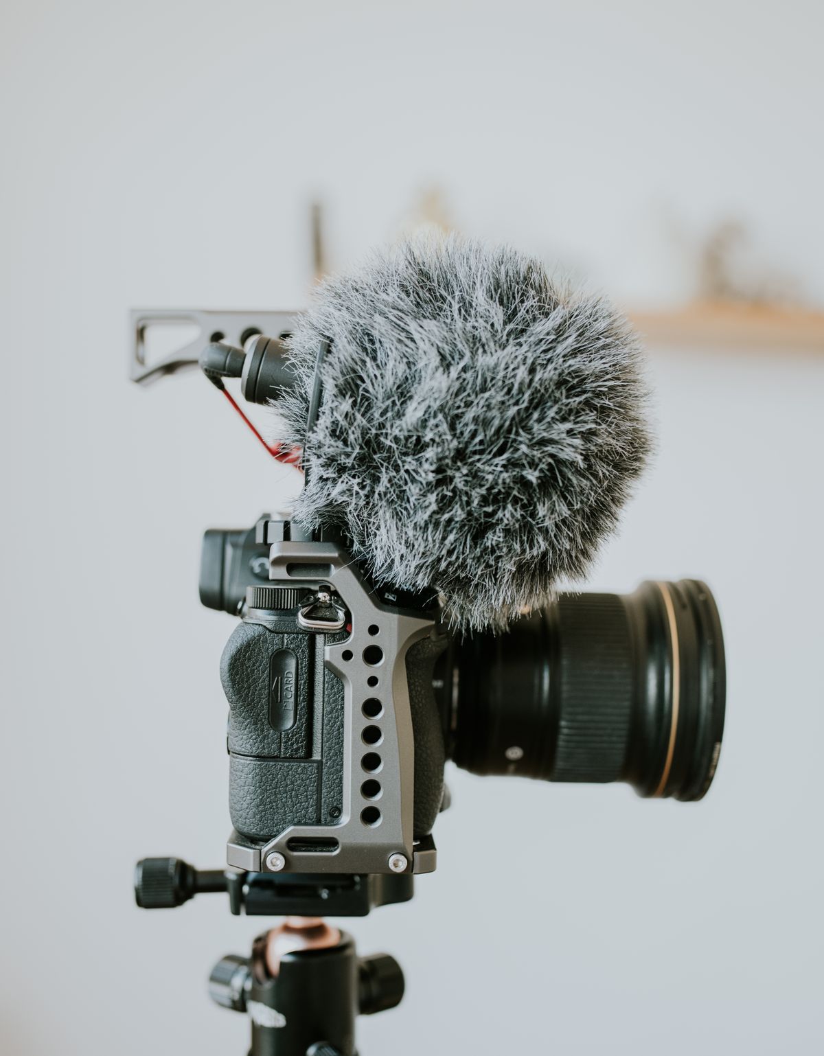 Camera with an external windscreen microphone