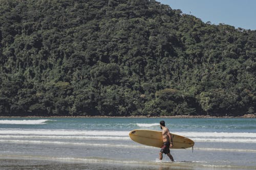 surfer Walking on Shallow Water at a Beach