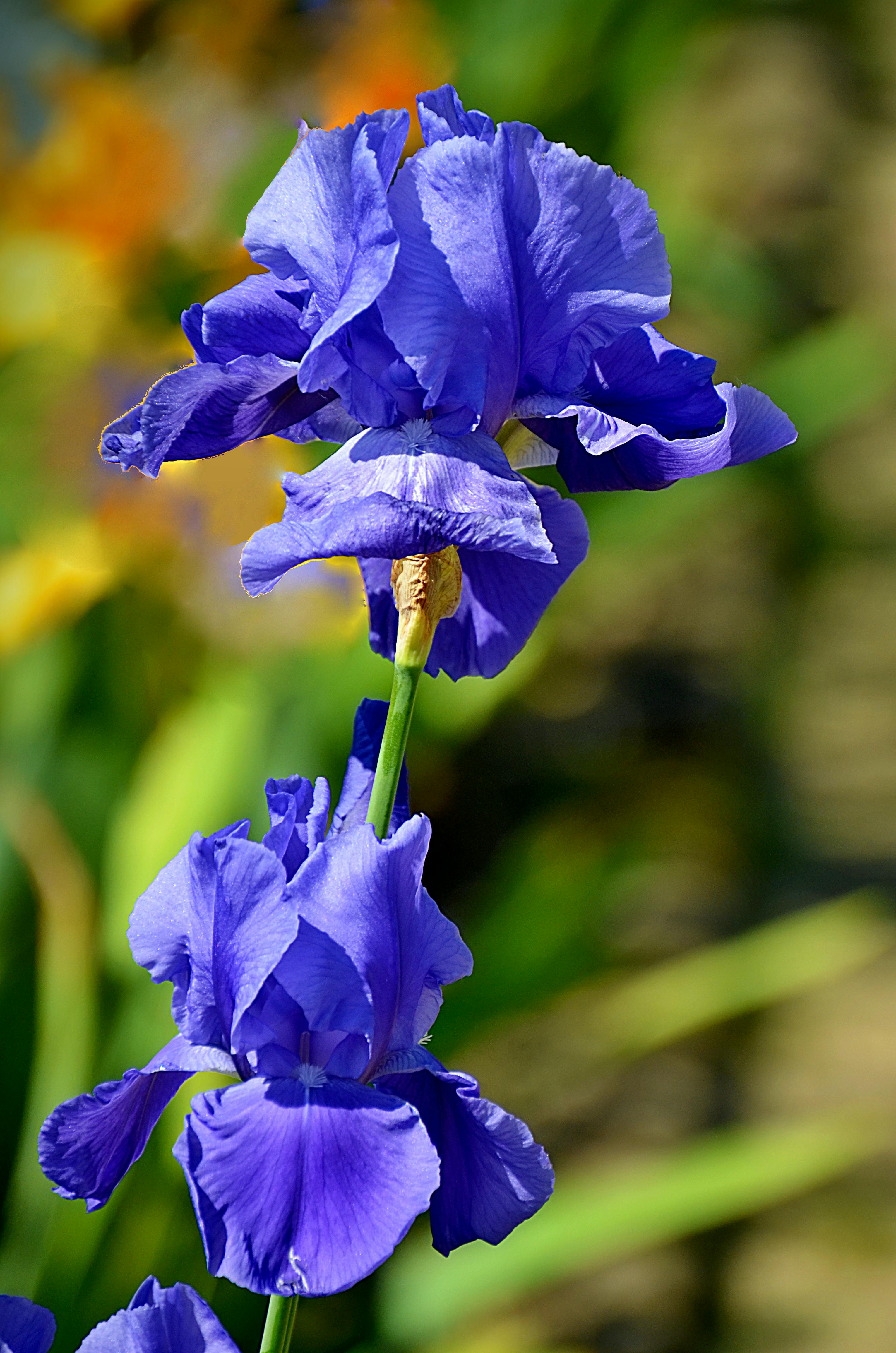 Building Sustainable NFT Game Worlds