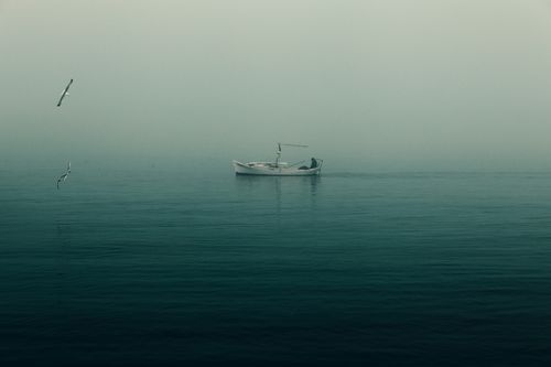 Free A tranquil scene with a lone boat and seagulls over a misty lake in Yalova, Türkiye. Stock Photo