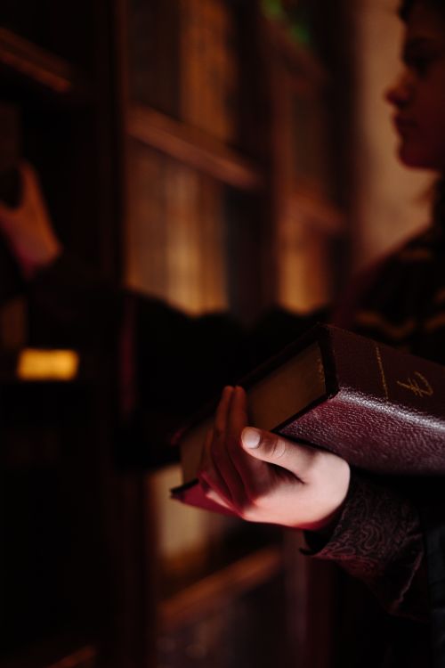 Free A person holds a book in a dimly lit library, creating an air of mystery. Stock Photo
