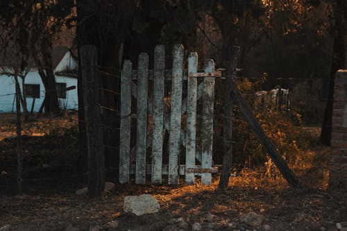 Immagine gratuita di porta, porta in legno, vecchia porta