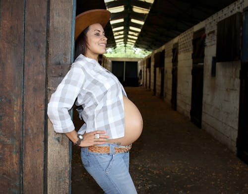 Free stock photo of doors, horse stable, pregnant