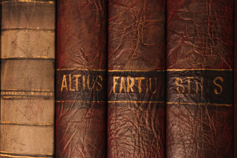 Detailed close-up of antique leather book bindings with ornate texture and golden text.