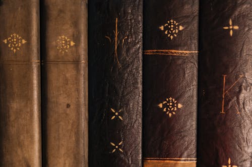 Close Up Photo of Books