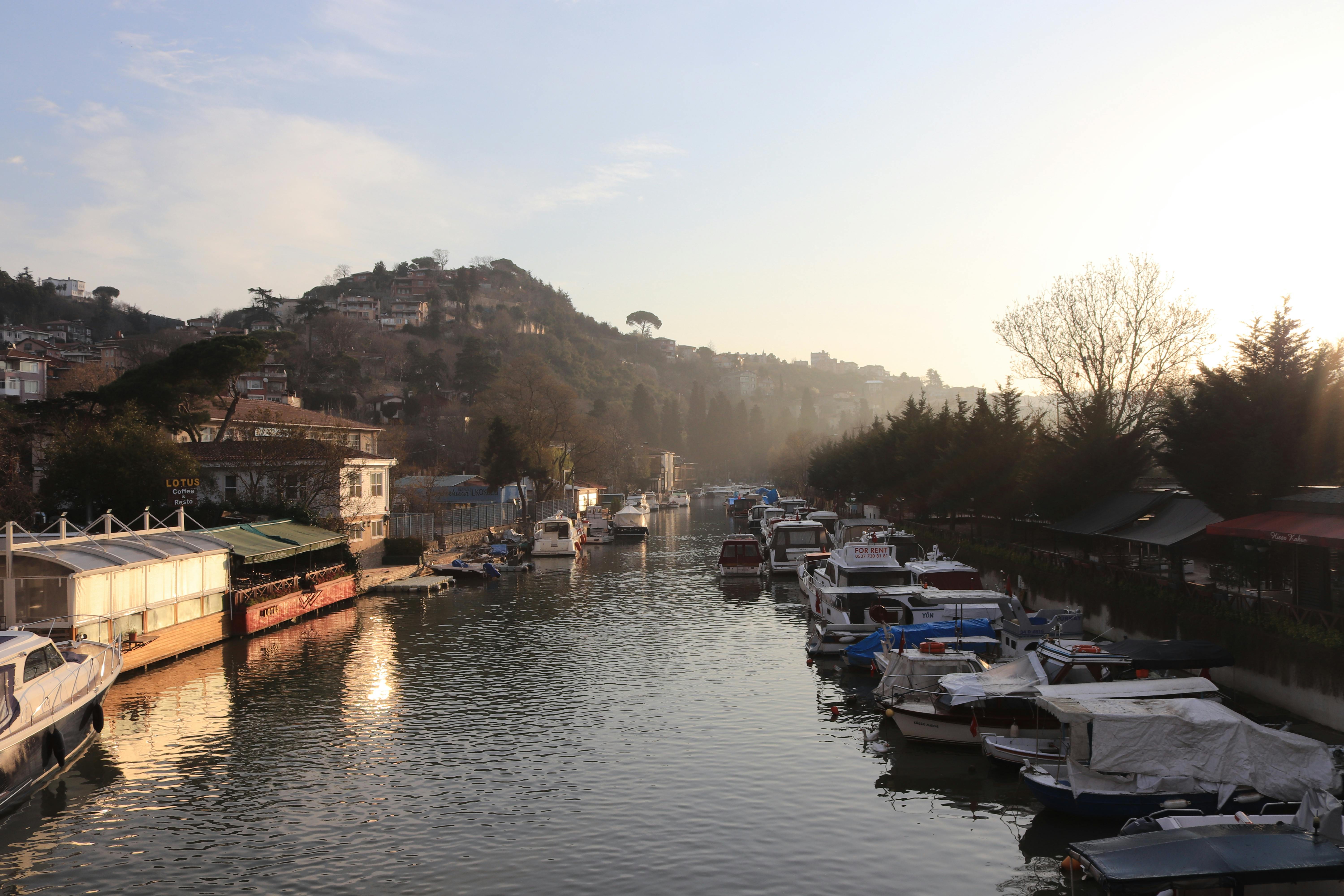 Gratuit Photos gratuites de arbres, architecture, asie Photos