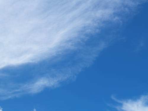 Free stock photo of blue, blue sky, cloud