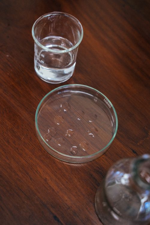 Free Close-up of laboratory glassware including a beaker and petri dish on wood. Stock Photo