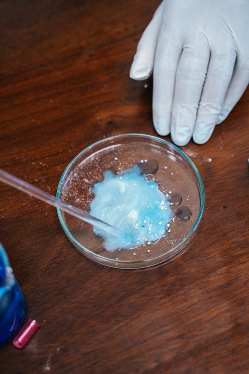 Overhead Shot of a Petri Dish