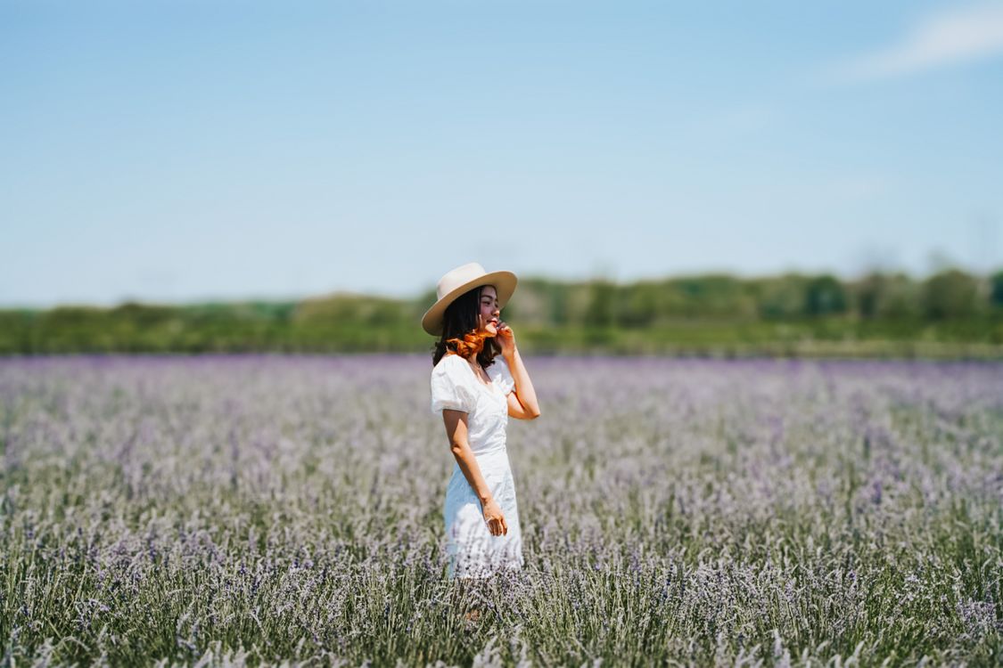 Beautiful Woman in a Lavender Field · Free Stock Photo