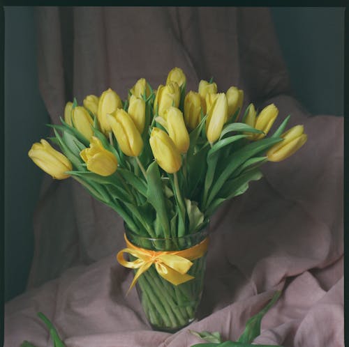 Yellow Tulips in a Vase