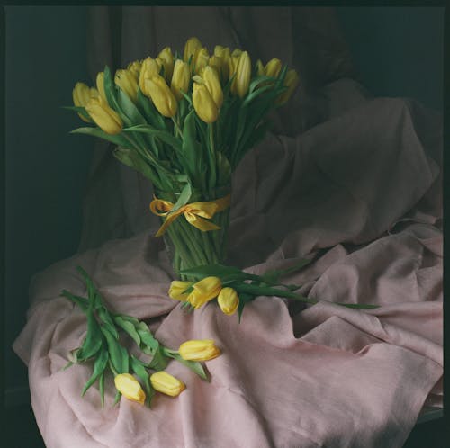 Imagine de stoc gratuită din decorațiune, floare, floră
