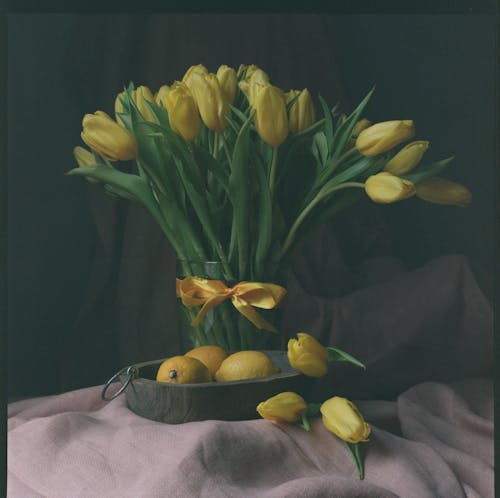 Fresh Yellow Tulips on a Glass Flower Vase