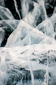 Image by Arina Dmitrieva
