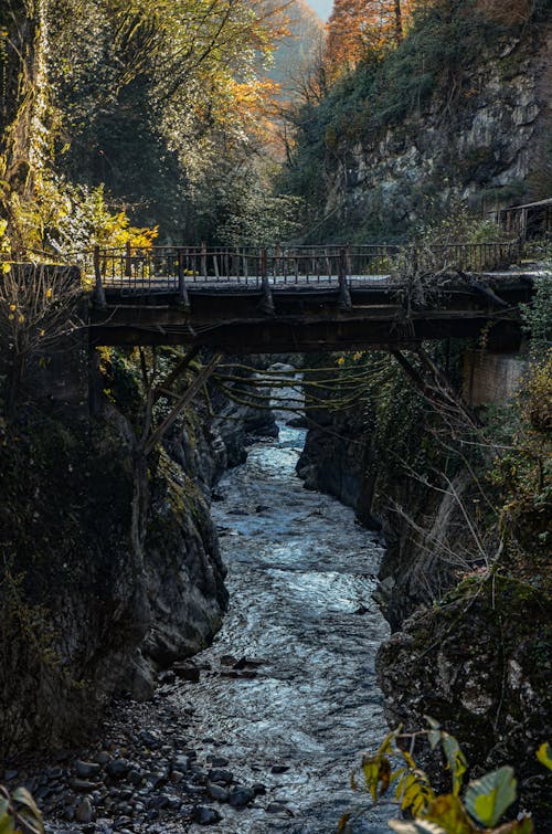 Gratis stockfoto met brug, bruggen, h2o