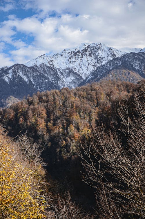 бесплатная Бесплатное стоковое фото с вертикальный выстрел, гора, живописный Стоковое фото