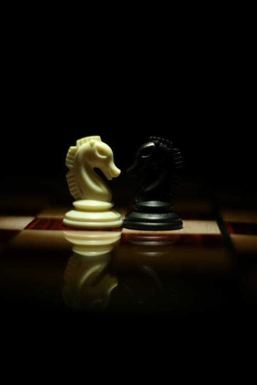 國際象棋棋盤上的兩個白色和黑色的國際象棋騎士