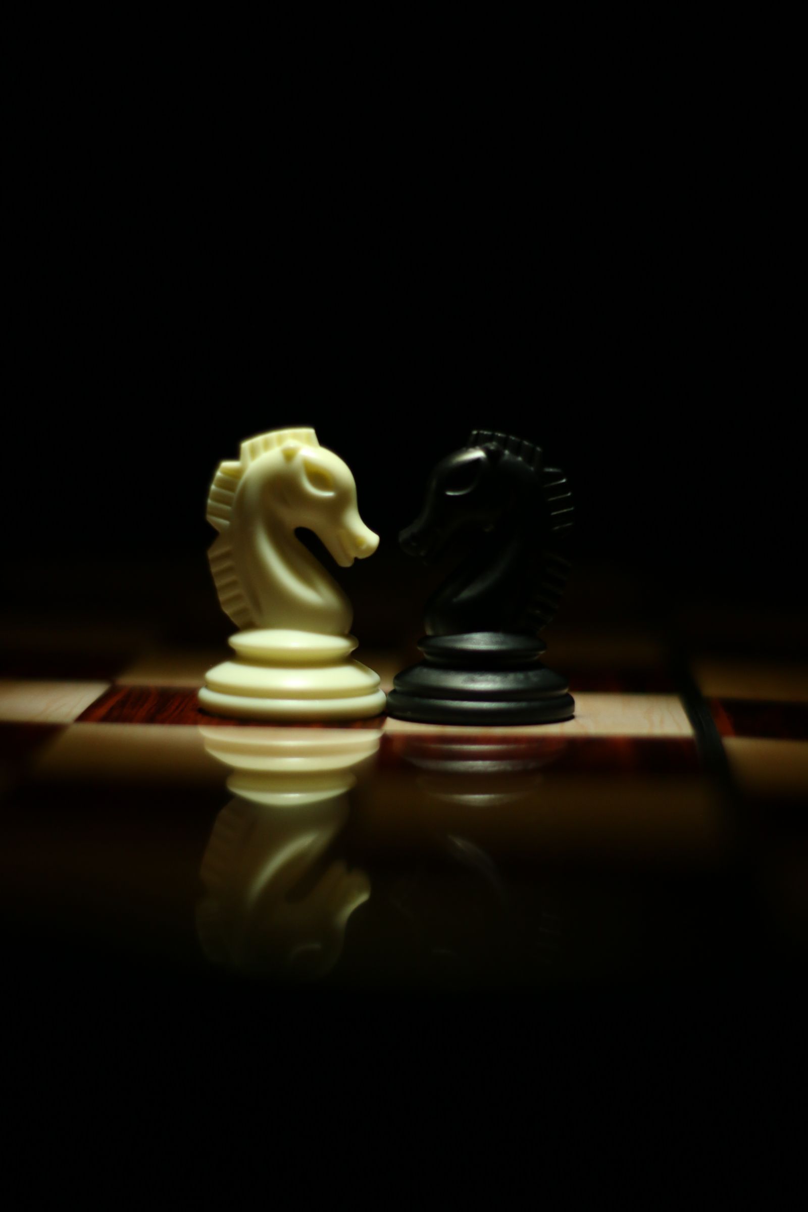 Two chess knights facing each other on a chessboard