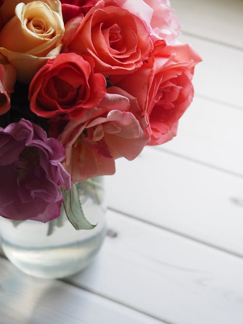 無料 赤とピンクの花の浅い焦点 写真素材