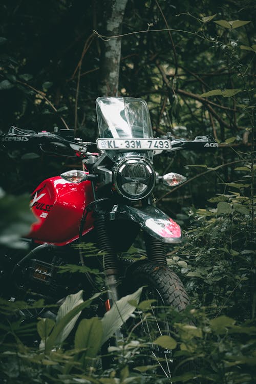 Free Close-Up Photo of Red Motorcycle Near Plants Stock Photo
