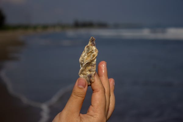 AI visual inspection