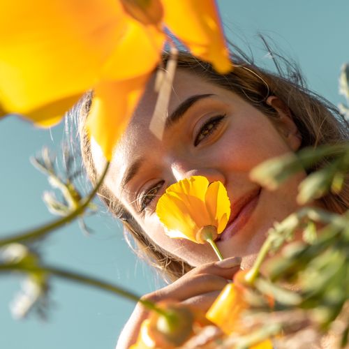 Free A young woman enjoys the scent of vibrant orange flowers on a sunny day outdoors. Stock Photo