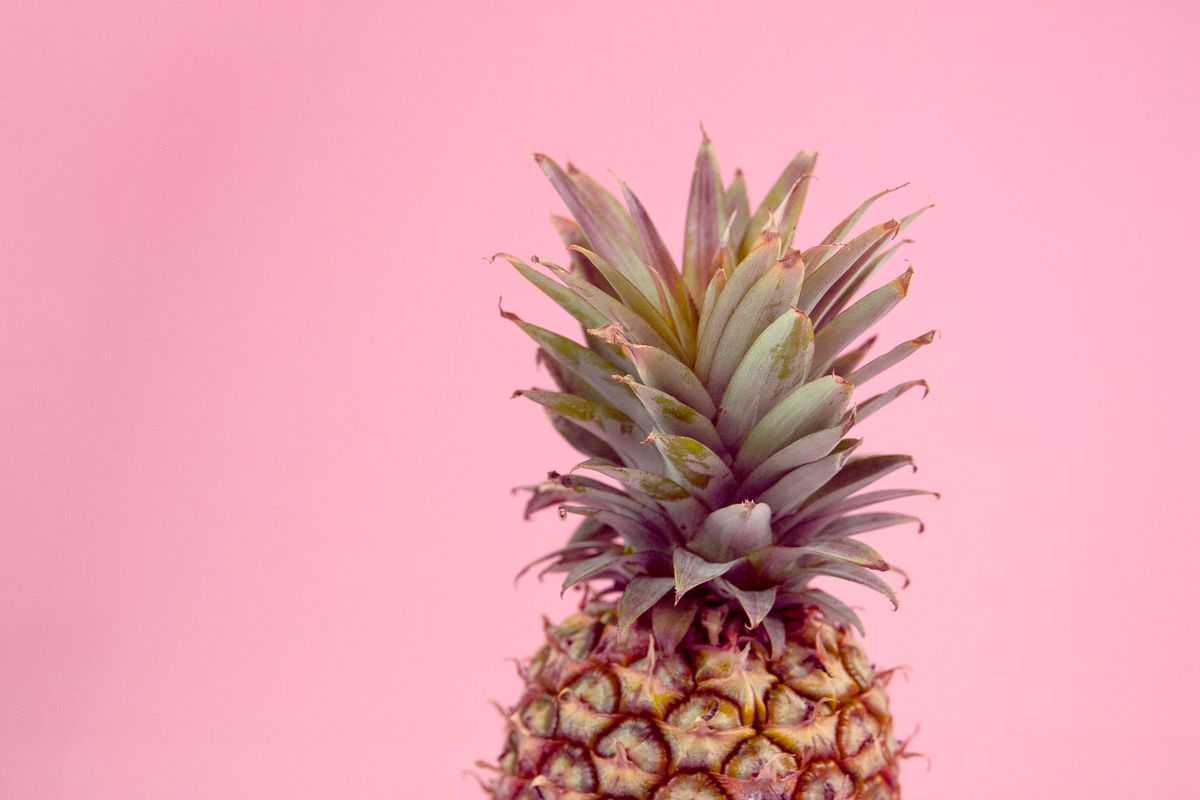 anana calorie - Macronutriments, fibres et index glycémique de l’ananas