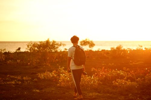 Free A lone traveler walks through a grass field towards the sunset over the sea, Philippines. Stock Photo