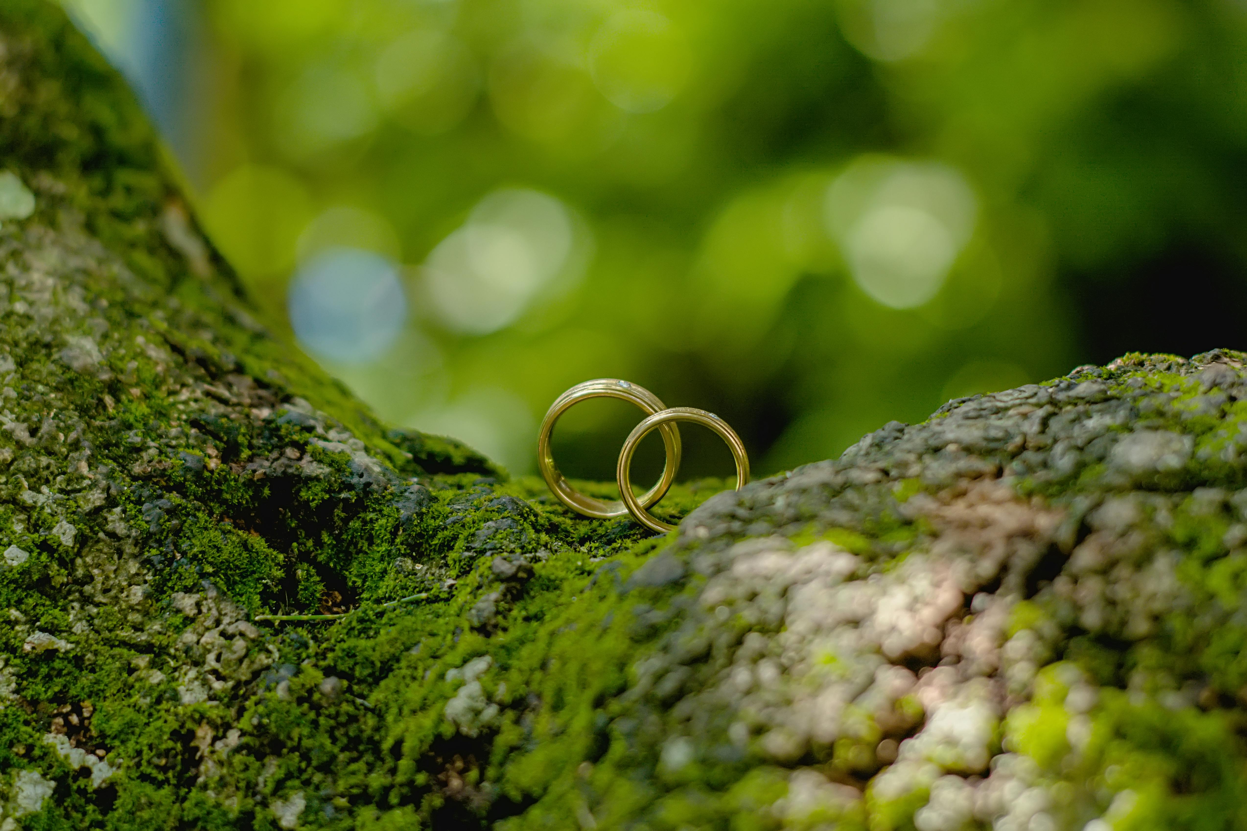 a pair of wedding rings on a mossy tree