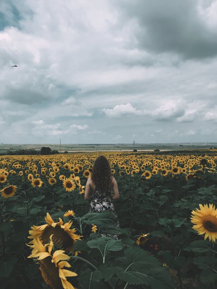 A Woman Standing On The Sunflower Farm