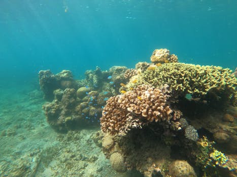 San Jose, Costa Rica photo 3