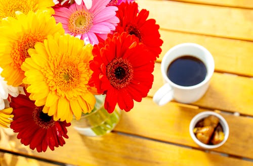 咖啡, 木桌, 植物群 的 免費圖庫相片