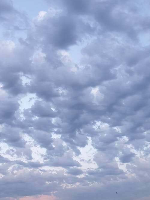 Бесплатное стоковое фото с атмосфера, высокий, голубое небо