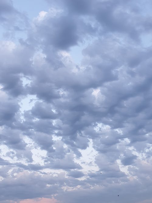 Gray Clouds and Blue Sky