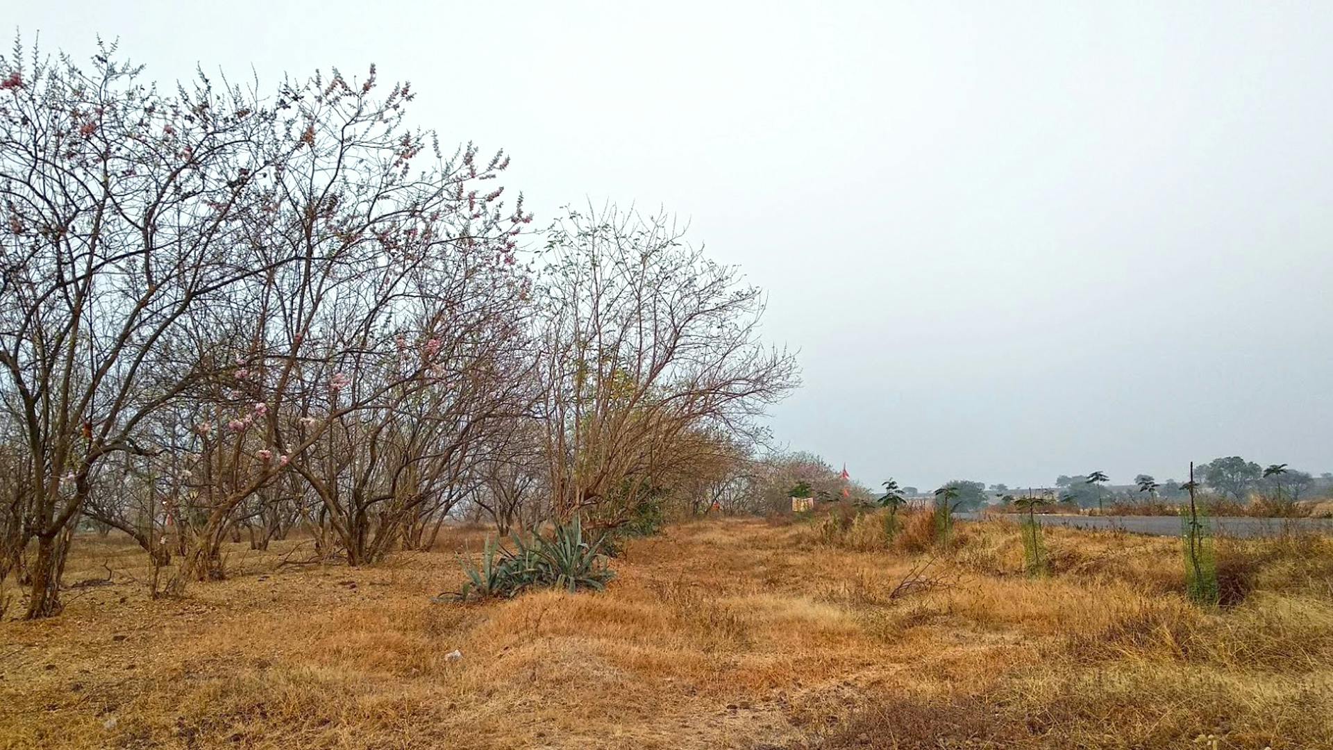 トリップ ファーム 乾燥地の無料の写真素材
