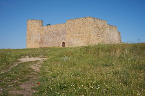 Free A scenic view of a historic stone castle surrounded by wildflowers and grass under a clear blue sky. Stock Photo