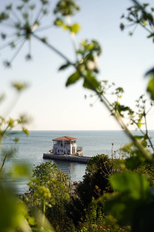 Port of Moda Visible From Behind the Trees, Istanbul, Turkey