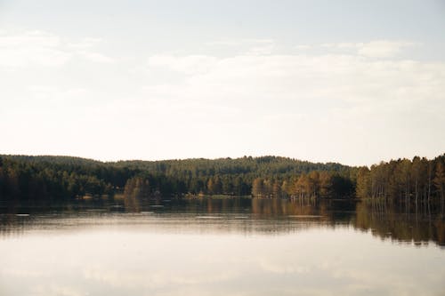 Darmowe zdjęcie z galerii z jezioro