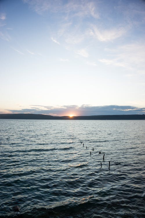 日落, 海 的 免费素材图片